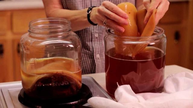 Kombucha: benefits and harms to the human body, composition, calorie content