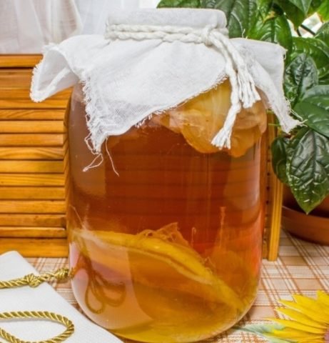 Kombucha does not pop up (does not rise): reasons for what to do