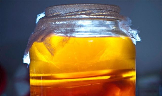 Kombucha does not pop up (does not rise): reasons for what to do