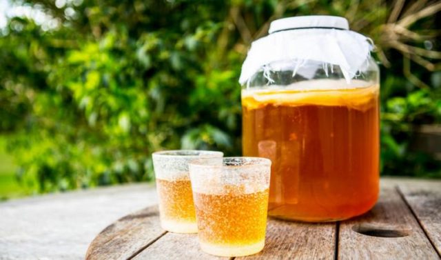 Kombucha for gastritis, stomach ulcer: useful properties, how it affects