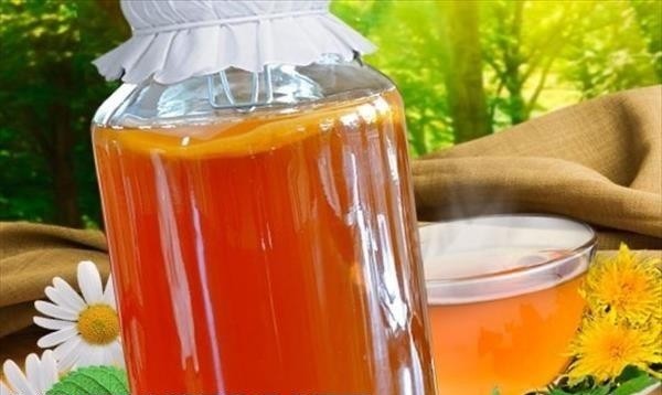 Kombucha for gastritis, stomach ulcer: useful properties, how it affects