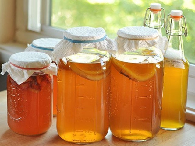 Kombucha for gout: is it possible or not, what is useful, how much and how to drink