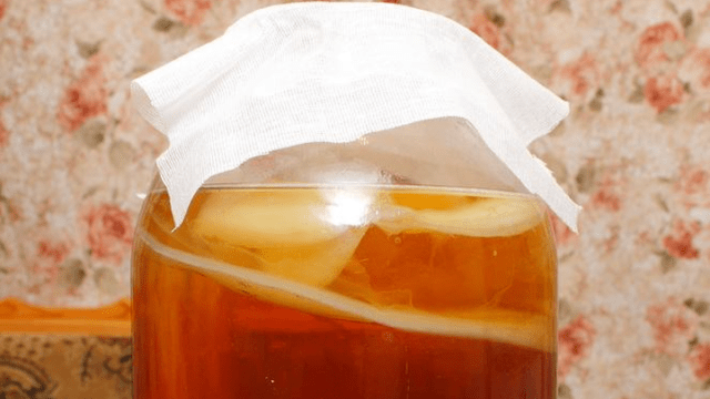 Kombucha for gout: is it possible or not, what is useful, how much and how to drink