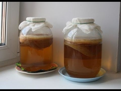 Kombucha for weight loss: reviews of doctors and losing weight, effectiveness, recipes