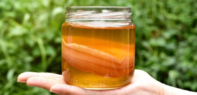 Kombucha with pancreatitis: is it possible to take, how to drink