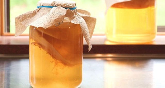 Kombucha with pancreatitis: is it possible to take, how to drink