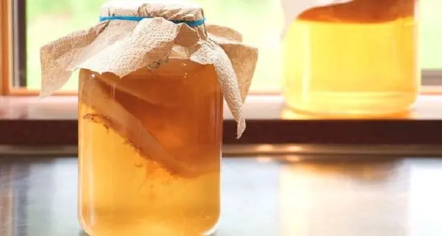 Kombucha with pancreatitis: is it possible to take, how to drink