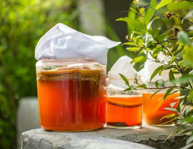 Kombucha with pancreatitis: is it possible to take, how to drink