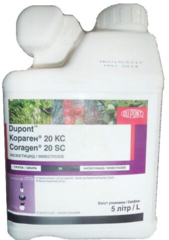 Koragen preparation: instructions for use, consumption rate per 10 liters, reviews