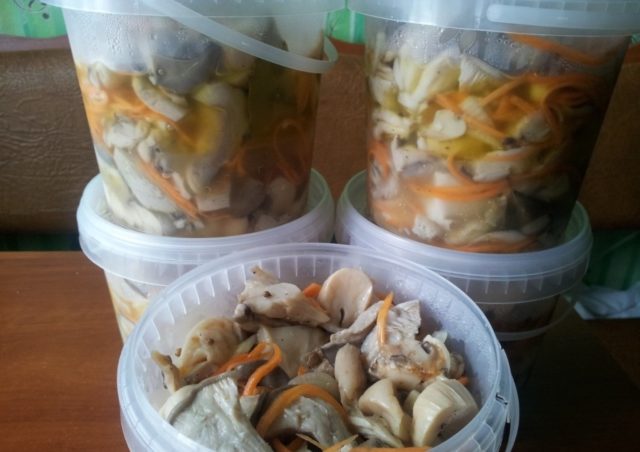 Korean oyster mushrooms: recipes at home