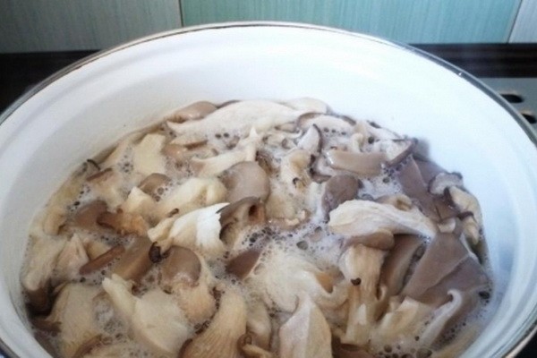 Korean oyster mushrooms: recipes for cooking at home