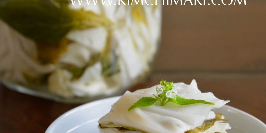 Korean Pickled Cabbage: Instant Recipe