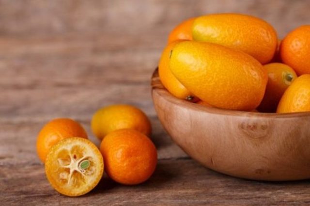 Kumquat: photo, benefit and harm