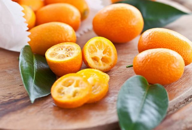 Kumquat: photo, benefit and harm