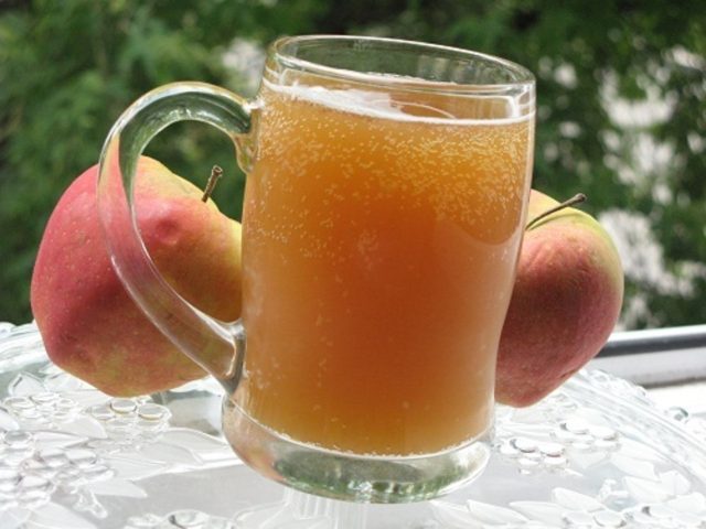 Kvass from birch sap: 10 recipes