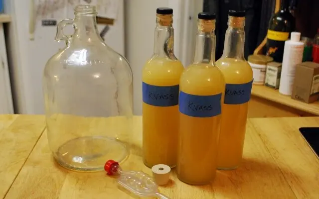 Kvass from birch sap: 10 recipes