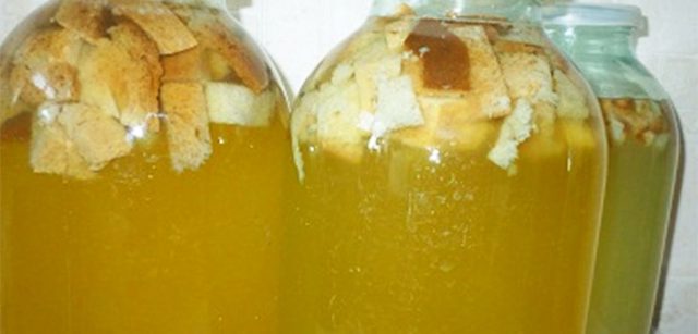 Kvass from birch sap: 7 recipes with bread