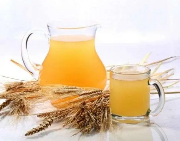 Kvass from birch sap with barley