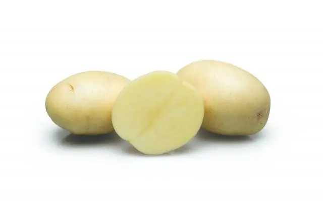 Labadia potatoes: characteristics, planting and care