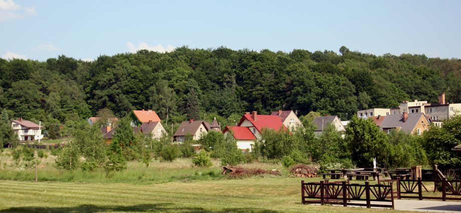 Lądnica