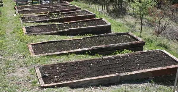 Land for garden beds 