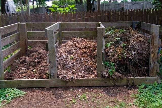 Land for garden beds 