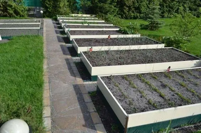 Land for garden beds 