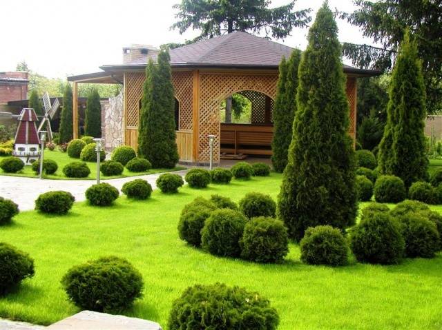 Landscape design of a small courtyard of a private house + photo 