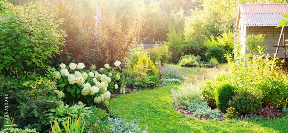 Landscape design of a summer cottage