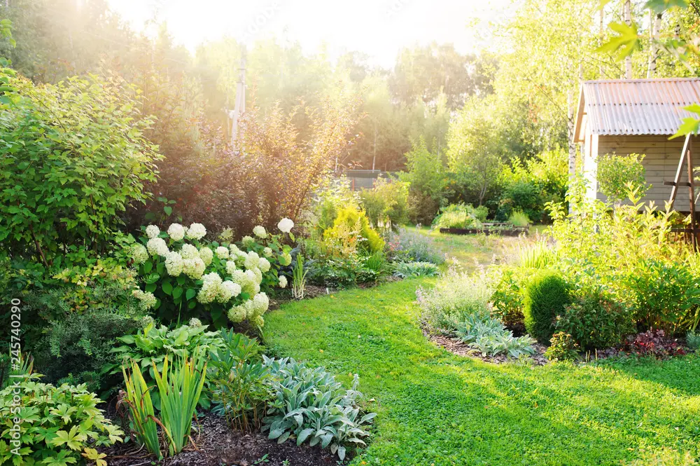 Landscape design of a summer cottage