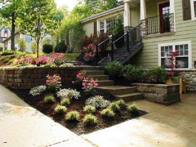 Landscaping on 6 acres: design rules, ideas, photos