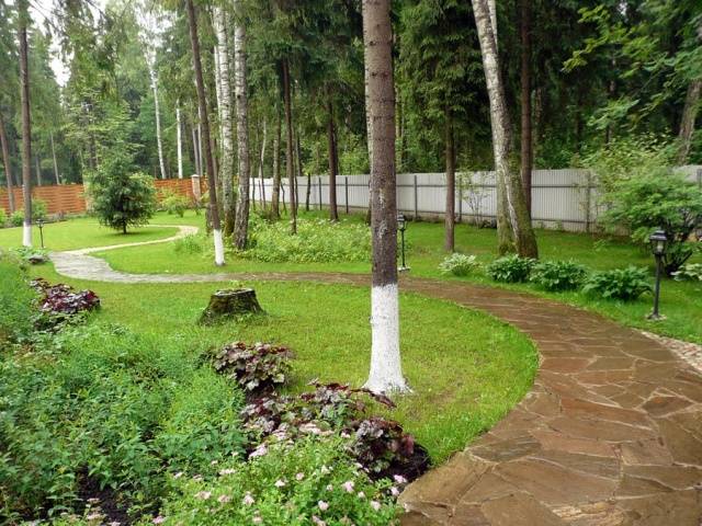 Landscaping styles and their characteristics