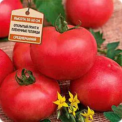 Large tomatoes: the best varieties with descriptions and photos