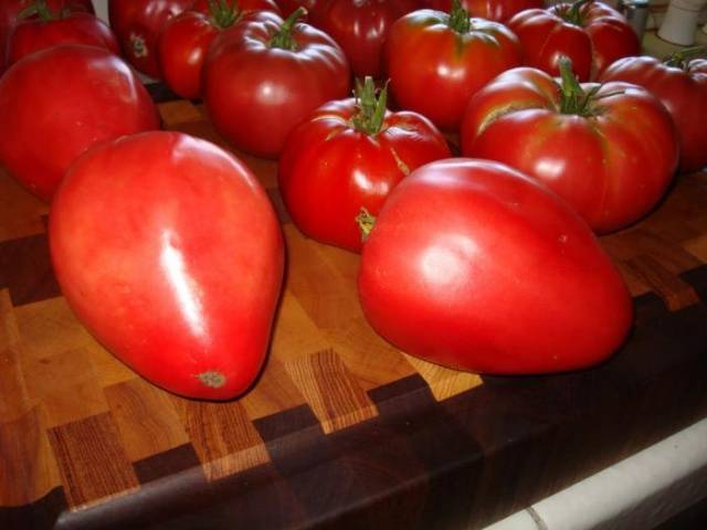 Large tomatoes: the best varieties with descriptions and photos