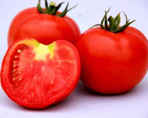 Large undersized varieties of tomatoes