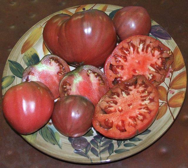 Large varieties of tomatoes for open ground