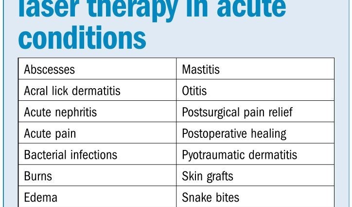 Laser therapy &#8211; indications, contraindications, price