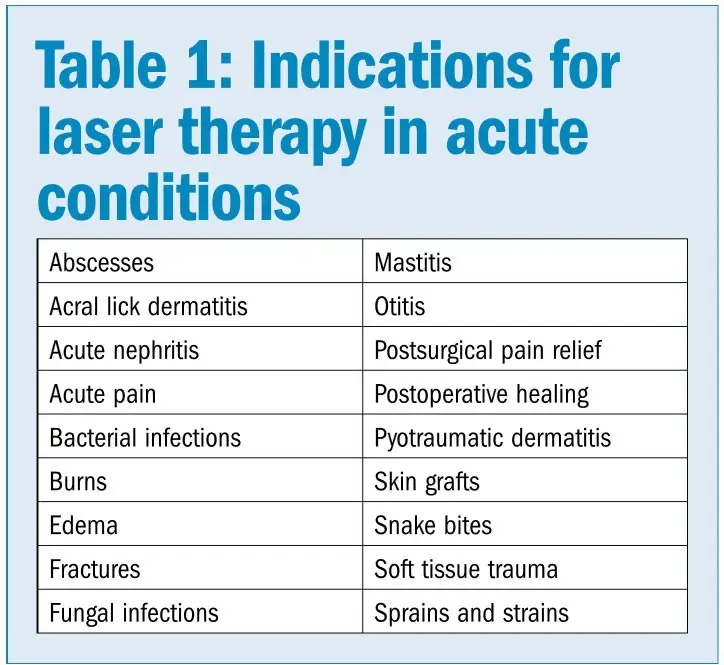 Laser therapy &#8211; indications, contraindications, price