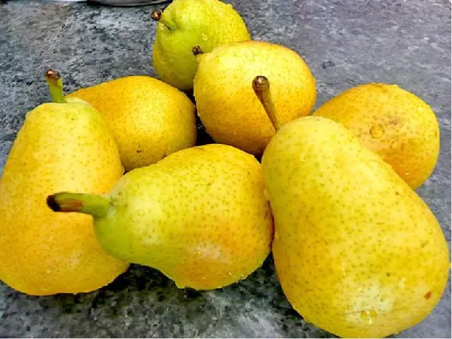 Late pear varieties