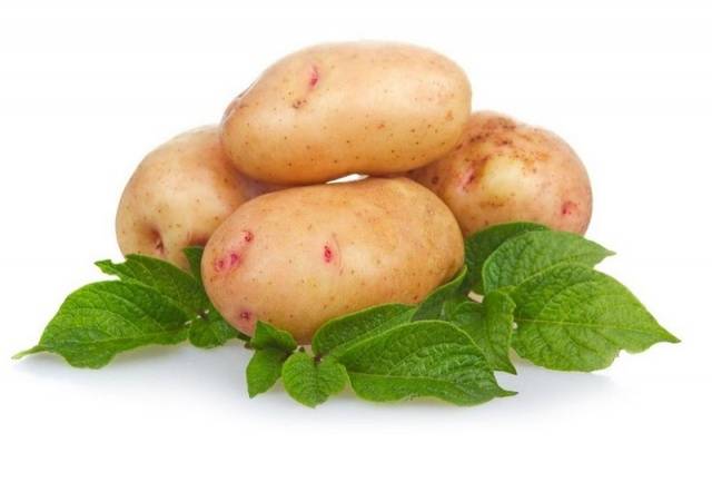 Late-ripening potato varieties: description + photo