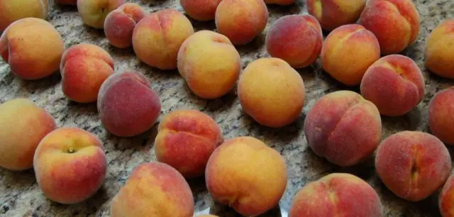 Late varieties of peach