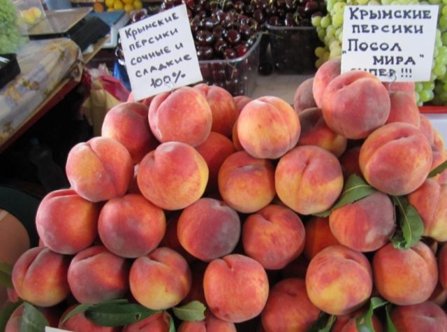 Late varieties of peach