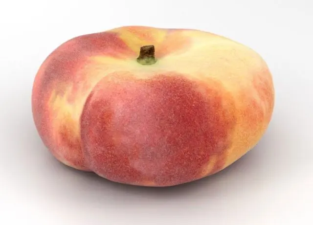 Late varieties of peach