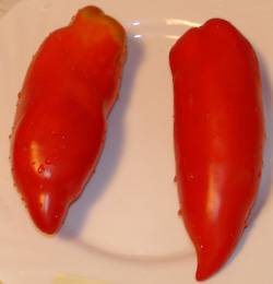 Late varieties of tomatoes