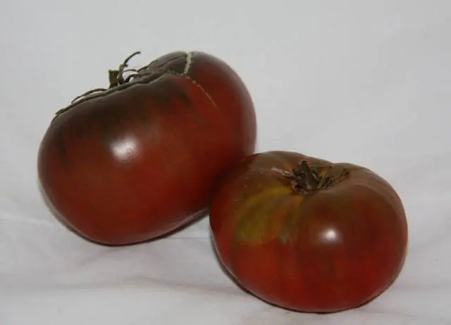 Late varieties of tomatoes