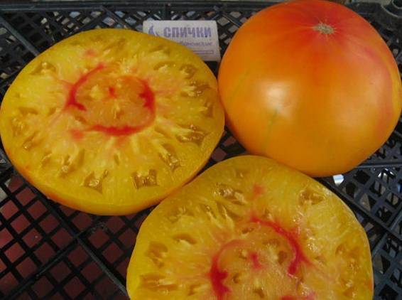 Late varieties of tomatoes for greenhouses