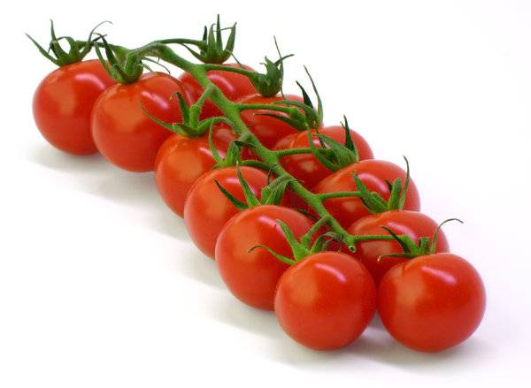 Late varieties of tomatoes for open ground