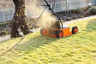 Lawn aerators: mechanical, electric and petrol