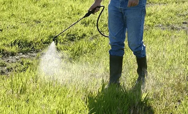 Lawn weed killer 