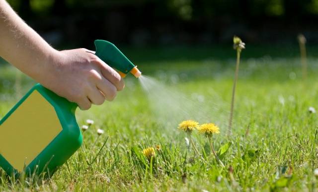 Lawn weed killer 